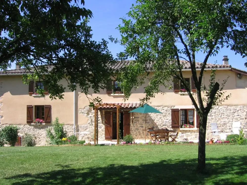 facade (6)
